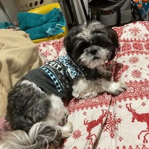 Meet your Posher, Kyrsten